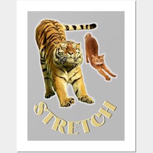 Stretch exercise by a tiger and a cat - gold text Posters and Art